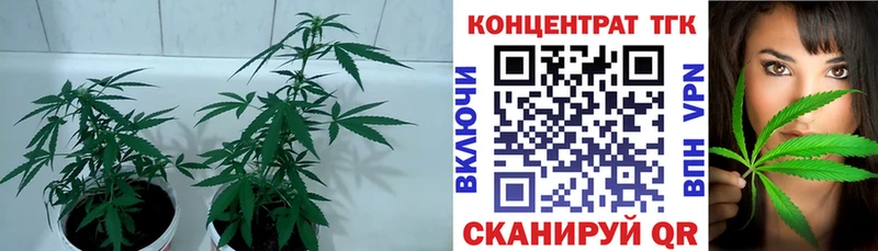 ТГК вейп  MEGA   Янаул 
