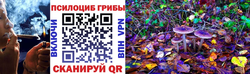 где можно купить   Янаул  Псилоцибиновые грибы MAGIC MUSHROOMS 