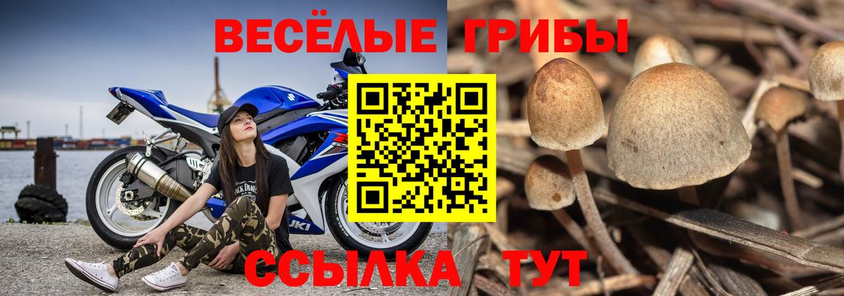Янаул  Псилоцибиновые грибы MAGIC MUSHROOMS  где можно купить   Галлюциногенные грибы Cubensis  Вход с VPN 